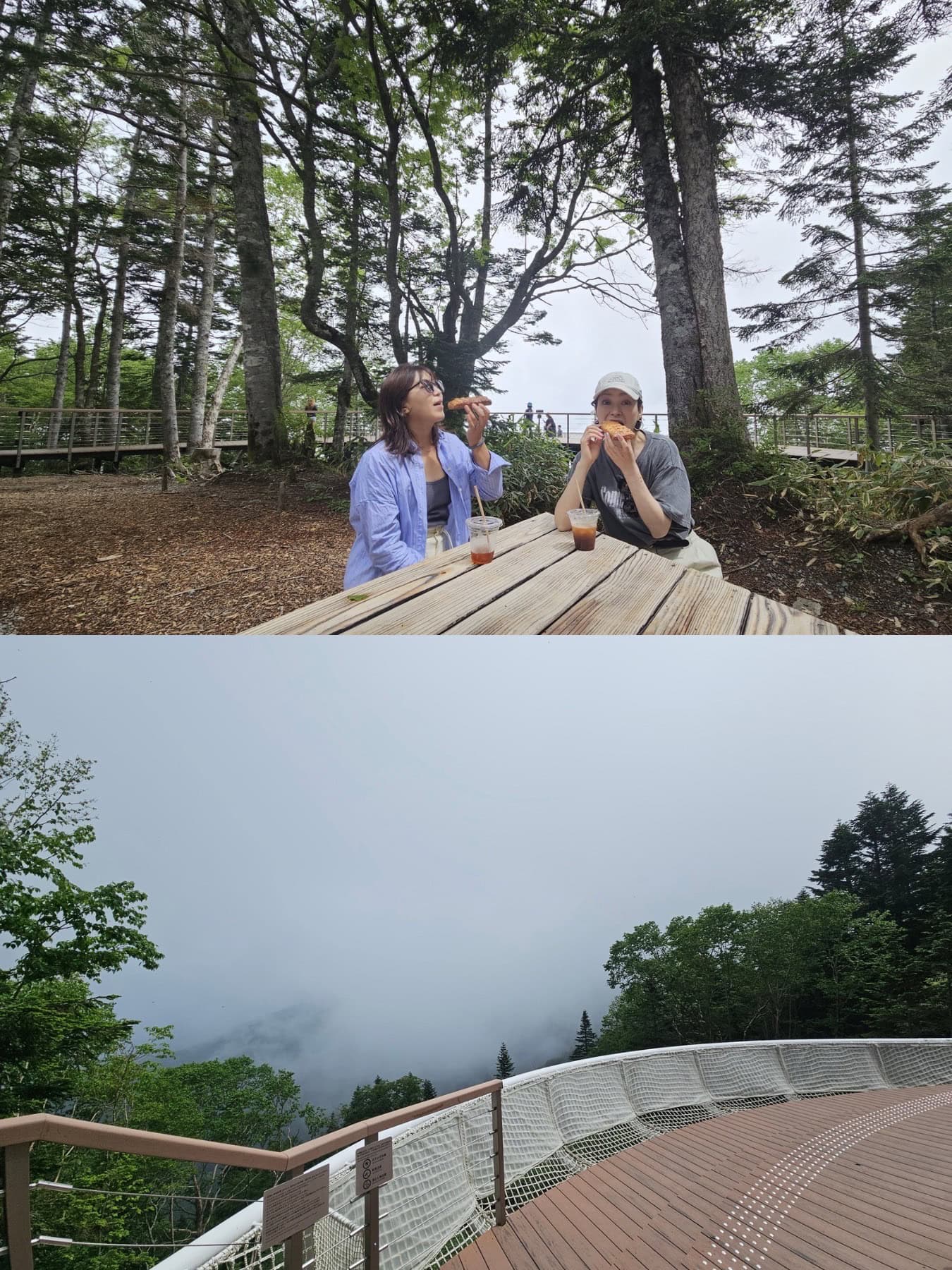 パンとドリンクを片手にロープウェイに乗り、山頂へ！