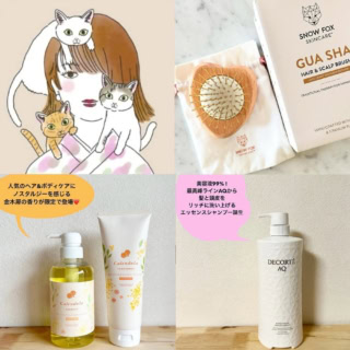 【40代向け】夏の終わりのダメージヘアをツヤ髪に！「AQの新シャンプー」ほか、おすすめヘアケア3選