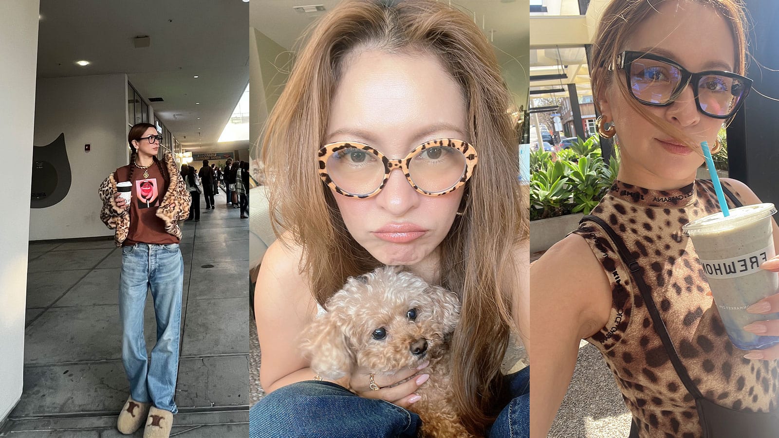 iwahoriseri_otonamuse_animalpr