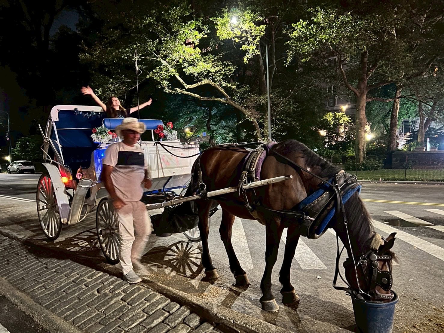 セントラルパークで馬車にも乗ってしまいました！