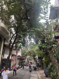 西湖周辺は緑も多く、歩いているだけでリラックスできますよ