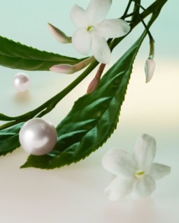 日本のラグジュアリージュエラーTASAKIが2025年10月10日(金)、自社初となるフレグランスコレクション「TASAKI HAUTE PARFUMERIE(TASAKI オート パフューマリー)」を発表。