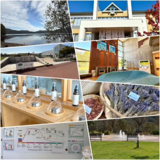 北海道ナチュの森