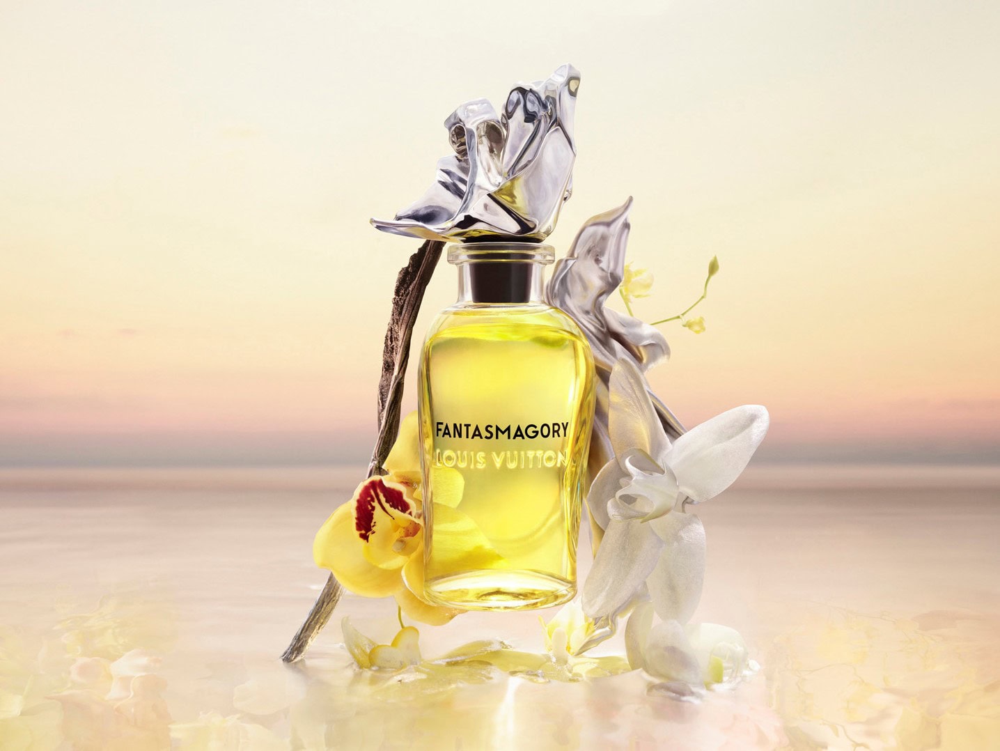 ルイヴィトン フレグランスボックス アロマストーン 非売品 楽天市場】【未使用品】LOUIS VUITTON ルイ ヴィトン フレグランス