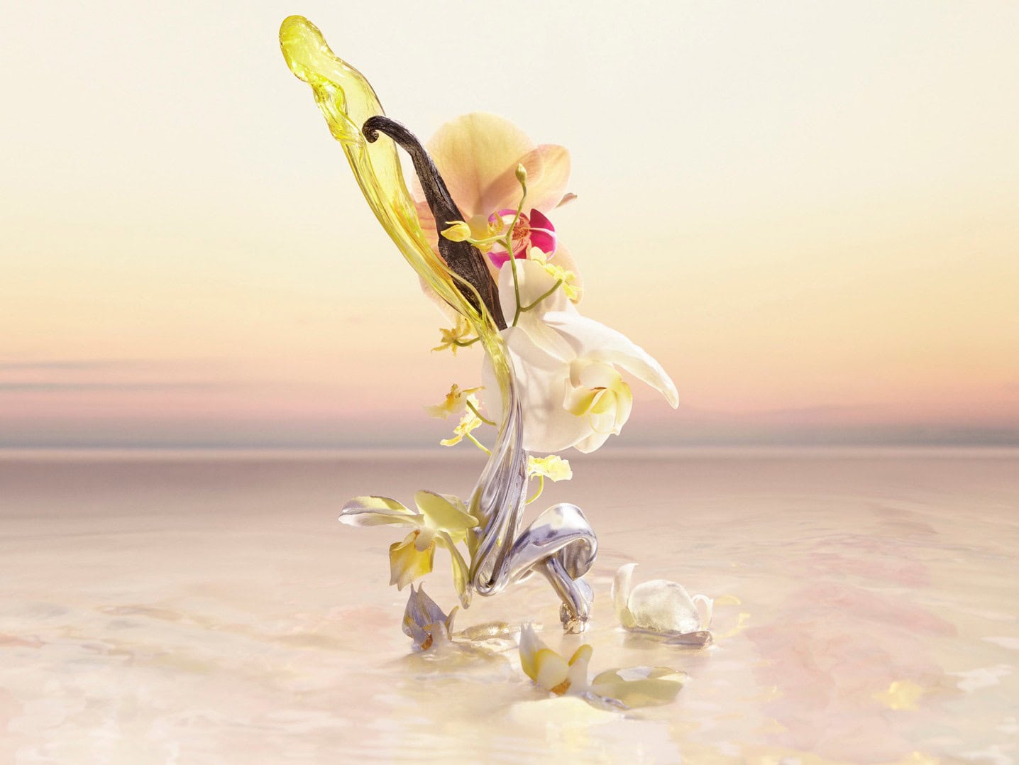 新作｢ファンタスマゴリー｣はピュアで甘美なバニラの香り