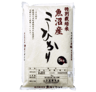 こしひかり／新潟県