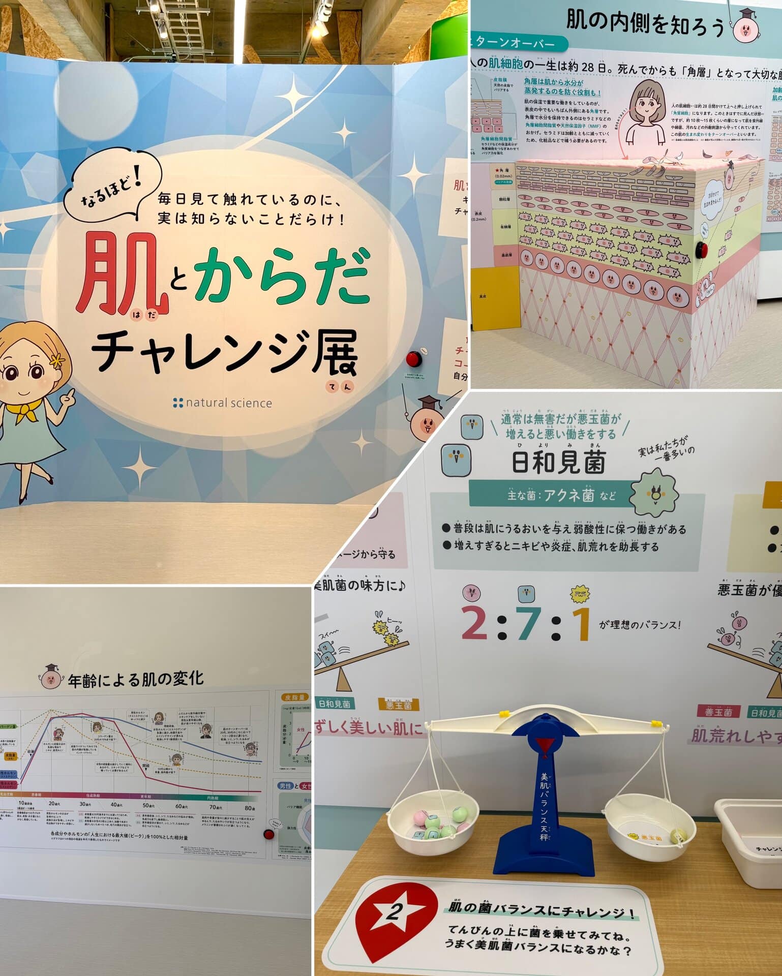 「ナチュの森」肌とからのチャレンジ展