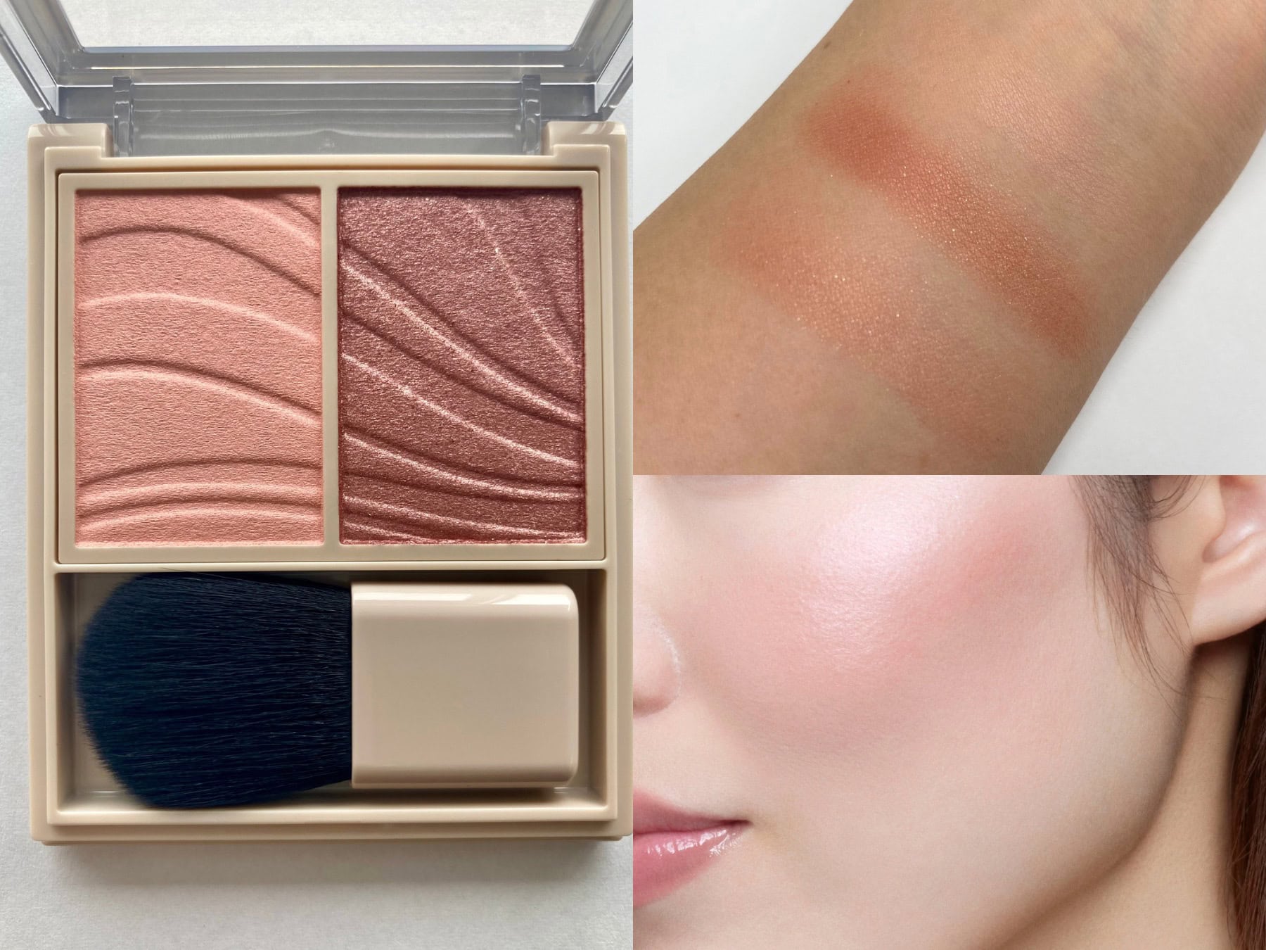 RD-7 ダリアレッド