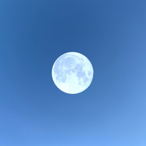 2025年最後の満月は12月5日(金)の8時14分。2日から8日は睡眠不足や体調不良に注意!【不調予報】