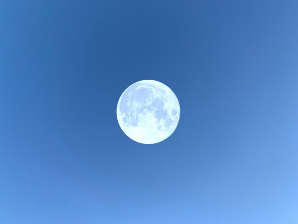 2025年最後の満月は12月5日（金）の8時14分。2日から8日は睡眠不足や体調不良に注意！【不調予報】