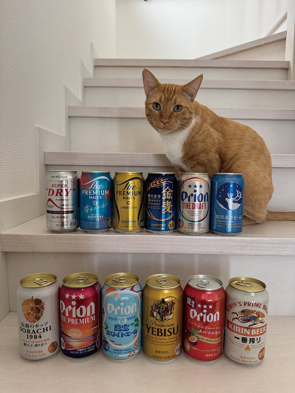 吉川ひなの ビール始めました。種類色々