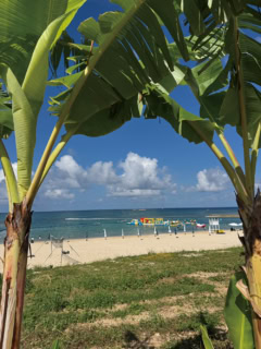 吉川ひなの ウォーキングで見る景色 その1