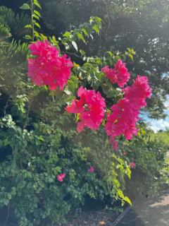 吉川ひなの ウォーキングで見る景色 その2