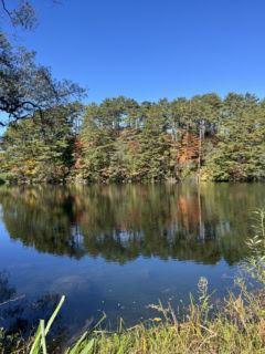 「五色沼」はどこも水がキレイ。柳沼も中の岩が見えるほど透明感でした