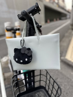 ちなみに淡いブルーのパソコンバッグとの相性も抜群でした！