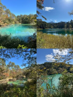 筆者が気に入った沼をいくつかピックアップしてみました。左上時計回りで、青沼、弁天沼、毘沙門沼、赤沼