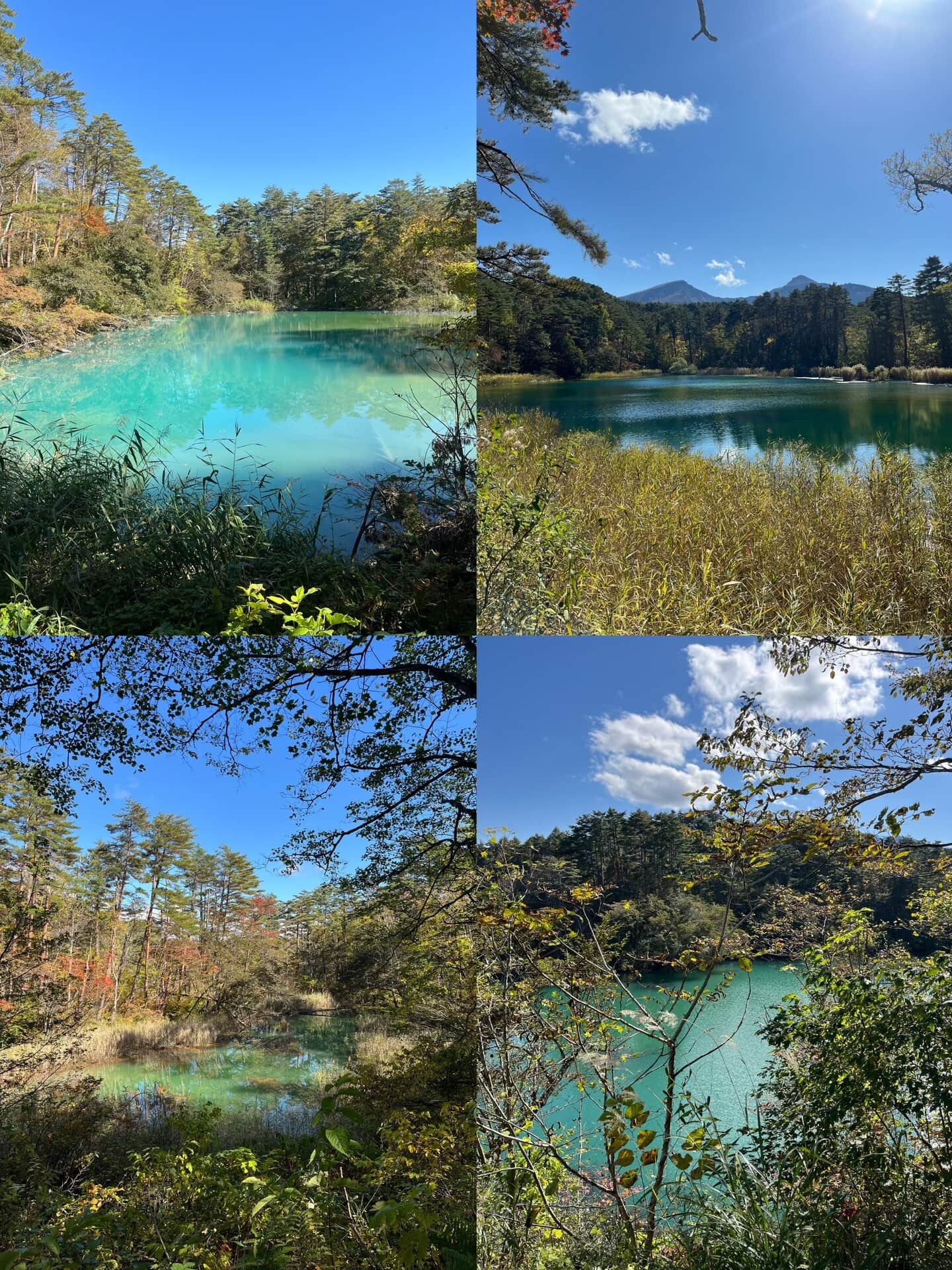 筆者が気に入った沼をいくつかピックアップしてみました。左上時計回りで、青沼、弁天沼、毘沙門沼、赤沼