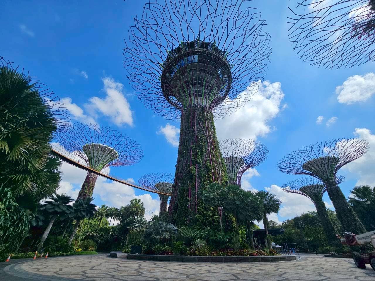 シンガポールを訪れたら一度は行きたい植物園『ガーデンズ・バイ・ザ・ベイ』。樹木を模した素晴らしい建造物であることは理解した上で、何度観ても「それにしてもアホみたいにスゴいもん作ったのう」と、シンガポールの方のとことんやっちゃう気概に、いい意味で笑いがこぼれます。