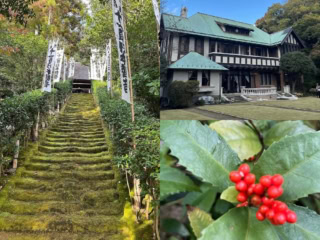 メイン通りだけじゃない！在住者が教える【鎌倉散歩コース】週末はメイン通りを外れて裏道へ