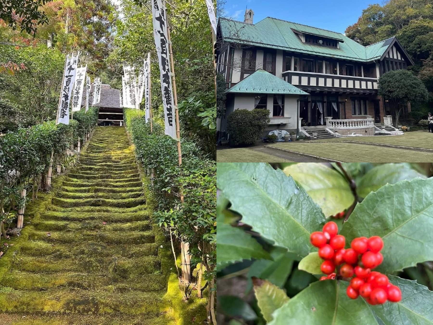 メイン通りだけじゃない！在住者が教える【鎌倉散歩コース】週末はメイン通りを外れて裏道へ