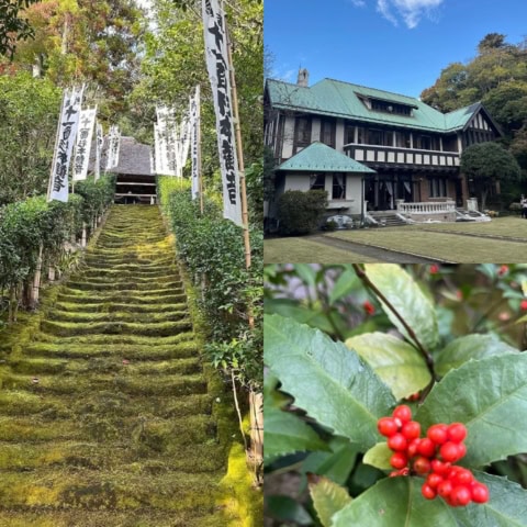 メイン通りだけじゃない!在住者が教える【鎌倉散歩コース】週末はメイン通りを外れて裏道へ