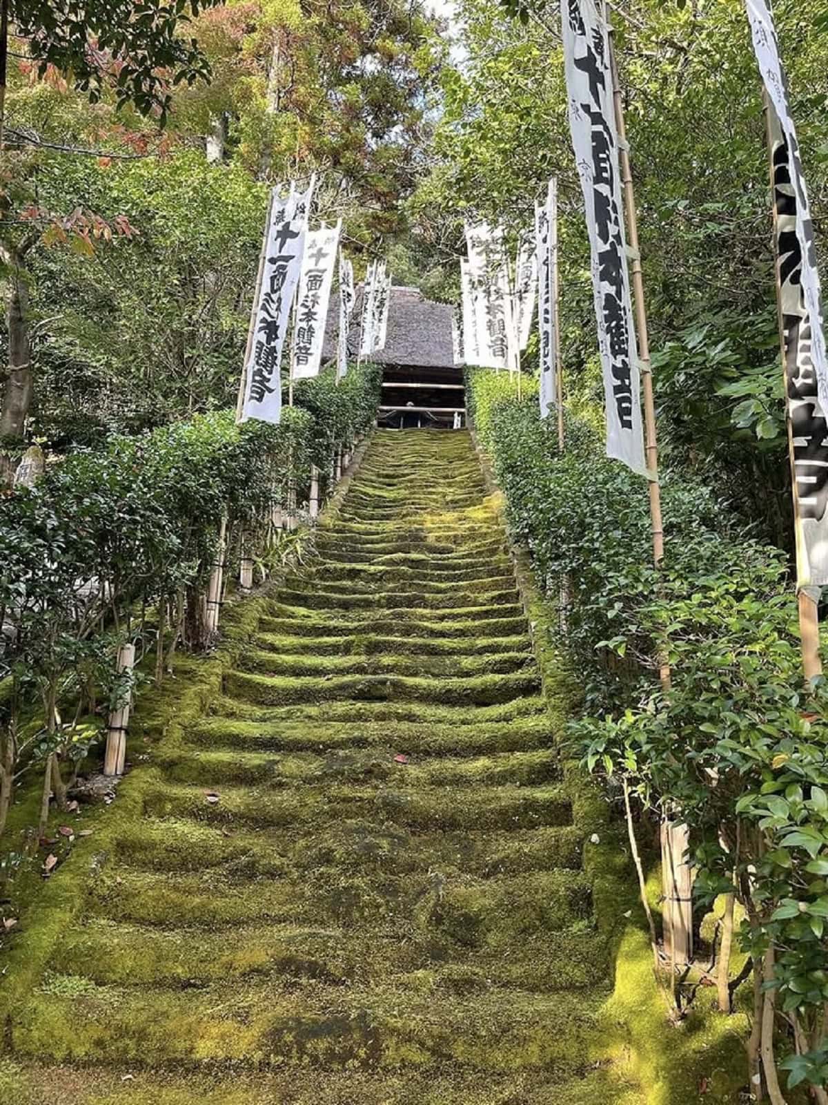 杉本寺