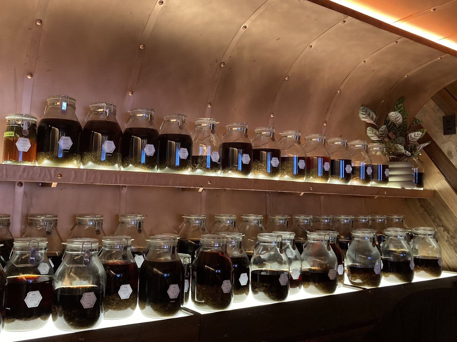 アルコールの提供もあります♡