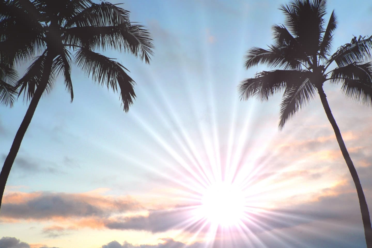 2026年1月の最強開運日は7日(水)の一粒万倍日!月の前半に勝負をかけて【吉日カレンダー】