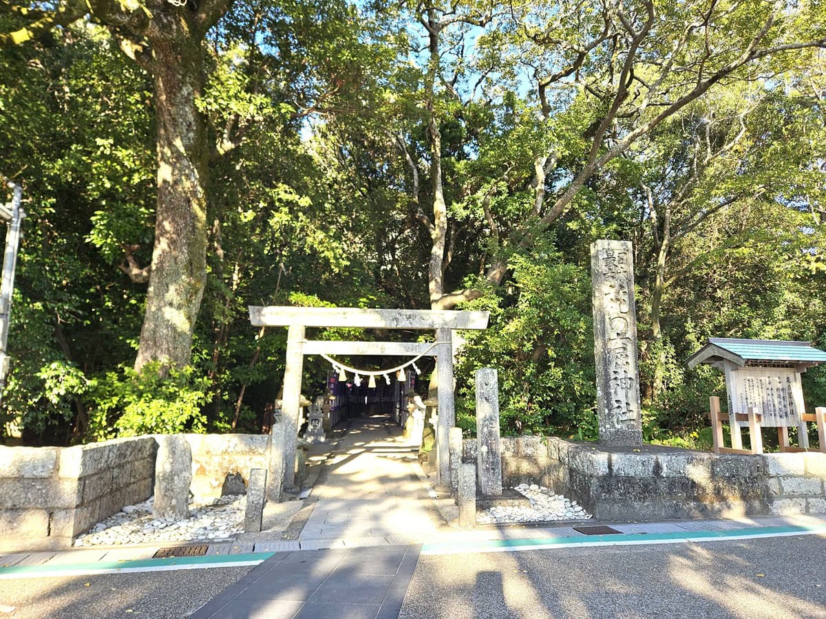 境内に入る前から厳かな雰囲気がひしひしと。