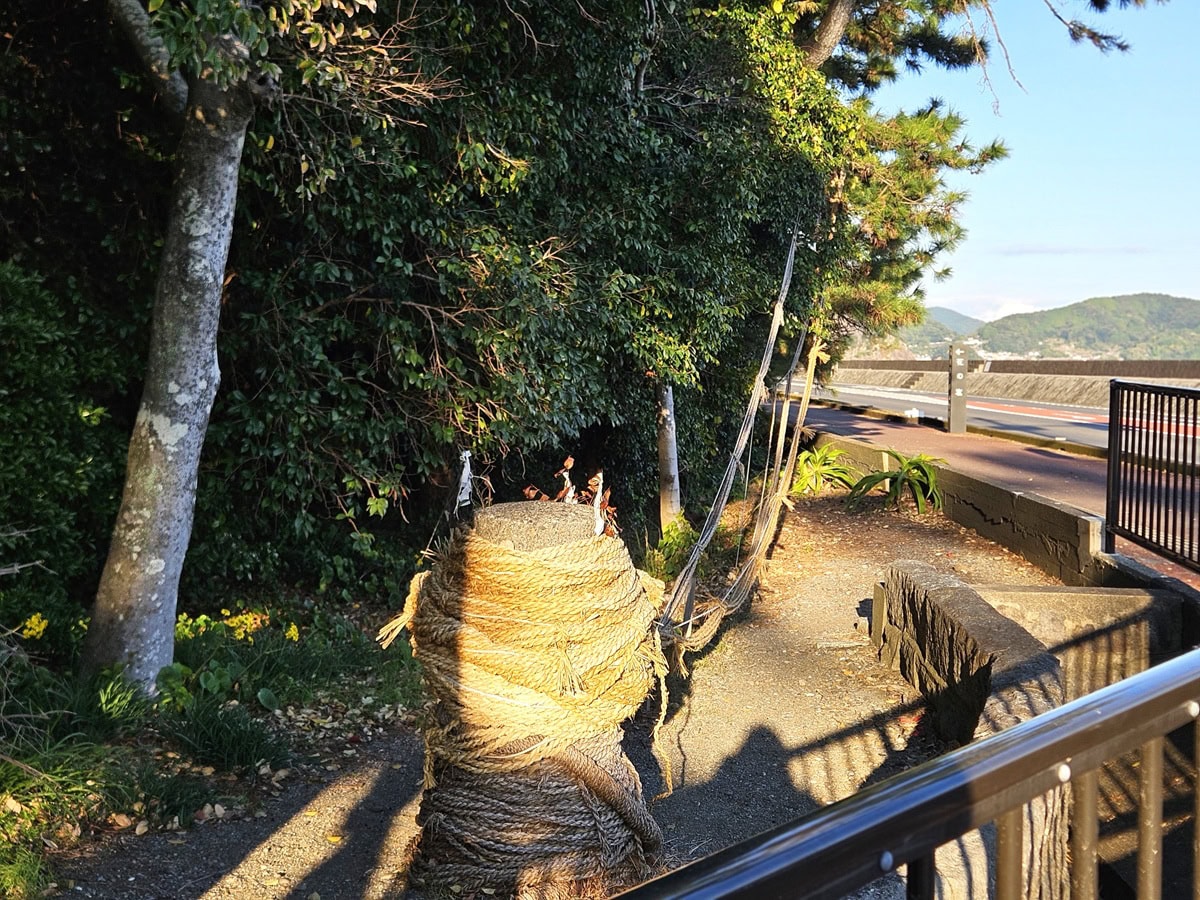 神事でかけられる全長170mにも及ぶ大綱。