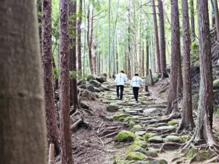 レンタルした衣装を着て熊野古道を歩けば、雰囲気たっぷりの写真に。