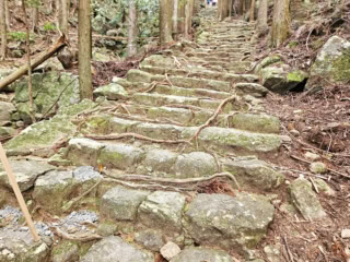 山の形を削らずに、自然の地形を生かして石段が作られている。