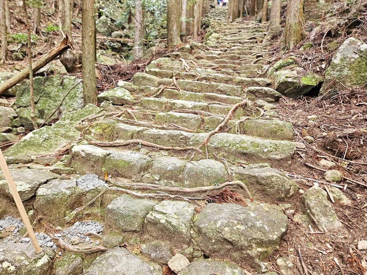 山の形を削らずに、自然の地形を生かして石段が作られている。