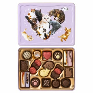缶にまであしらわれた猫が可愛い。にゃそーてっどチョコレート 22個入 ¥2,160※2026年1月上旬から全国百貨店・量販店の対象店舗で順次展開