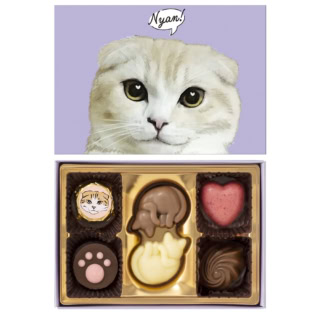 ¥1,000以下で気軽に贈るバレンタインにも最適。にゃそーてっどチョコレート 6個入 ¥702※2026年1月上旬から全国百貨店・量販店の対象店舗で順次展開