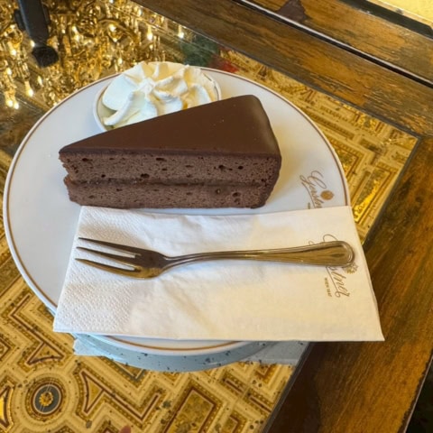 「ザッハトルテ」発祥の地【ウィーン】で、20か国を旅した2025年を振り返る｜清水みさと連載