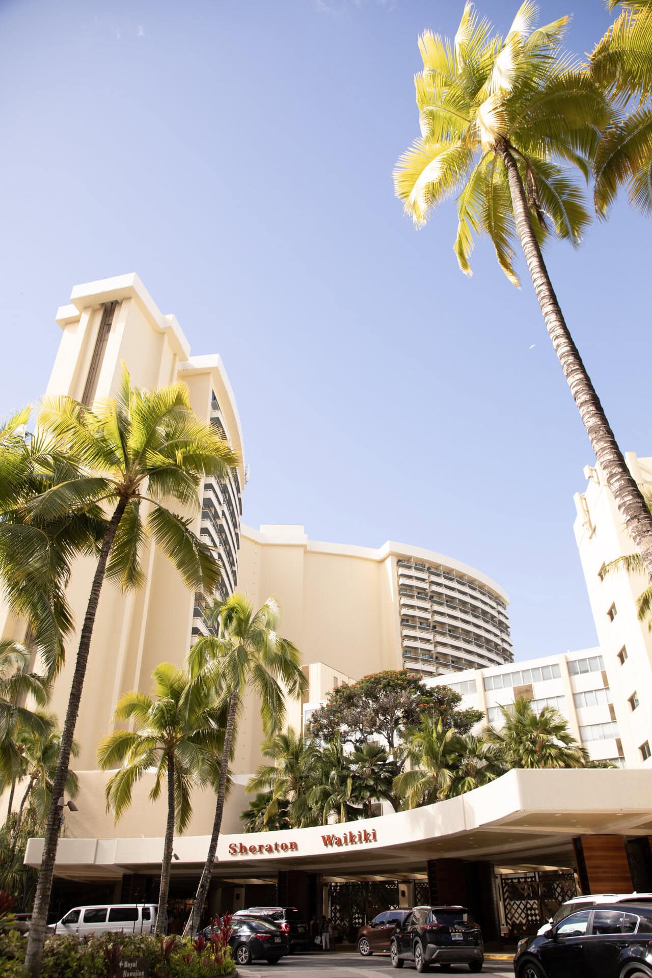 エントランスのこの独特なカーブが特徴的。ヤシの木もゲストをお出迎え