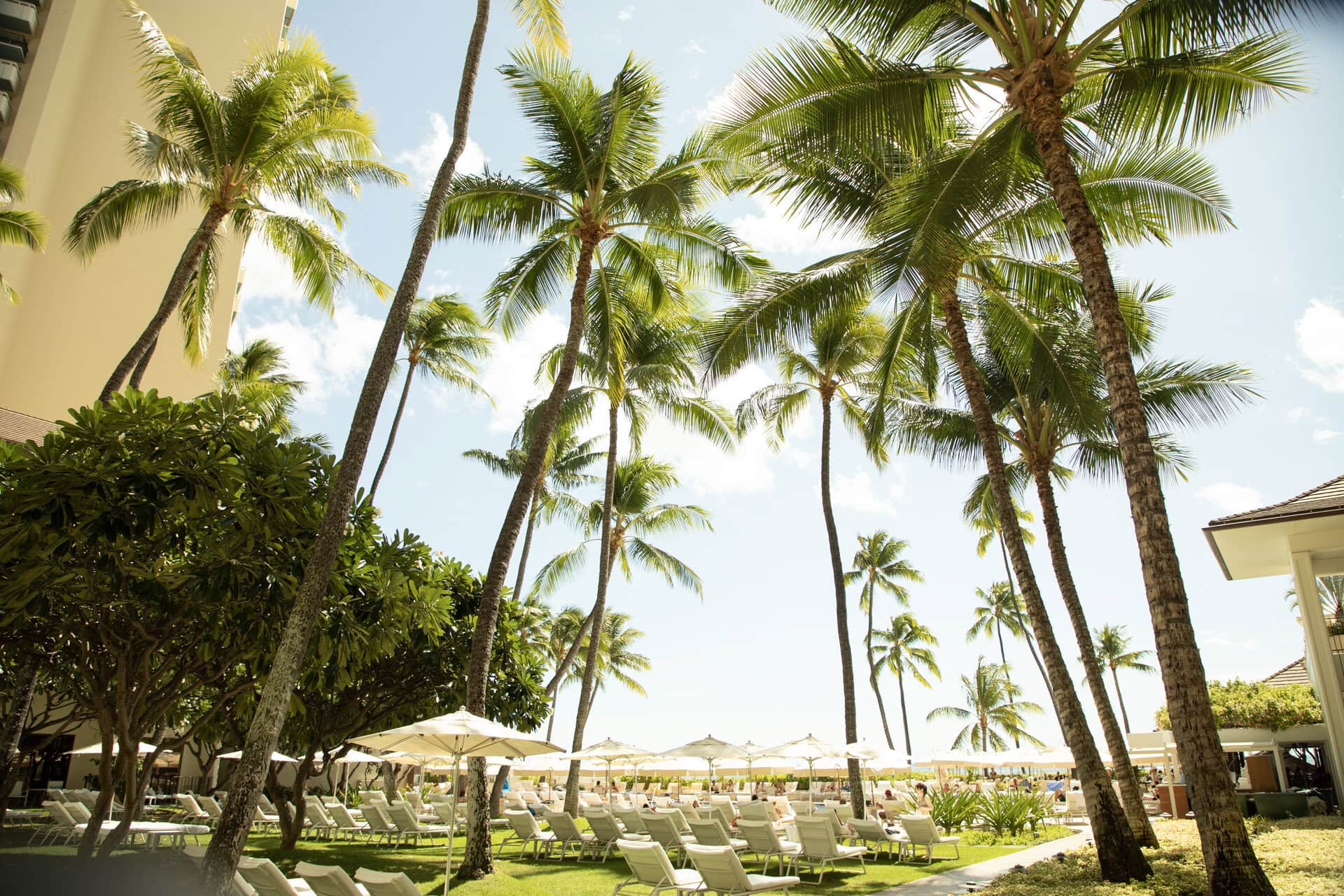 外観・内観共に気品のある白を基調。数えきれないほど魅力的なホテルにあふれているハワイ。新しいホテルも増えてきているけれど、格式あるホテルに滞在してゆっくりした時間を過ごすのも、大人ならではの旅の楽しみ方。ちょっと背伸びをしてでも、泊まる価値は大アリです！