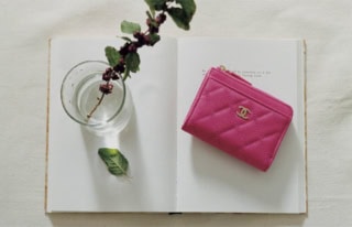 カードホルダー［H8×W11.3×D2cm／札入れ0、小銭入れ1、カードスリット4、ポケット0］ ¥124,300（シャネル）