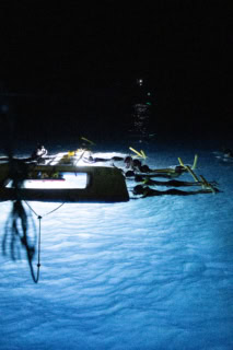 マンタに触れるのはNG。ハワイとはいえ夜の海は冷えるので、バスタオルを多めに準備しておくのがオススメ。ゼロ距離の迫力に「言葉にならないくらい可愛かった、最高」とキラキラした目で感想を語る理央さん。地球の広大さと生命の不思議を肌で感じた、忘れられない夜のご褒美体験になりました。料金は大人1名$125。所要時間は2.5時間