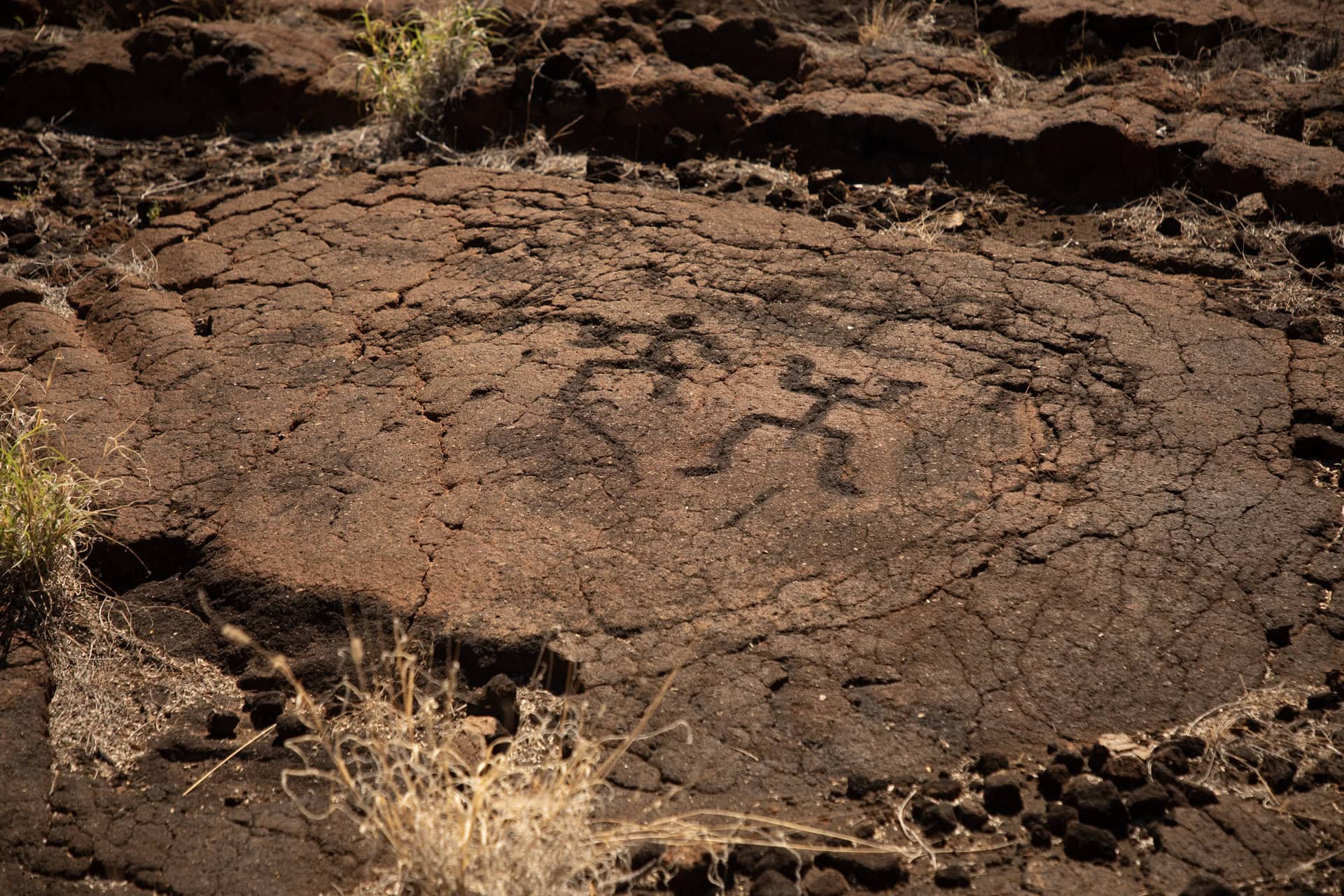 「何を書いているんだろう……？」スタッフみんなで考える時間もいい思い出。