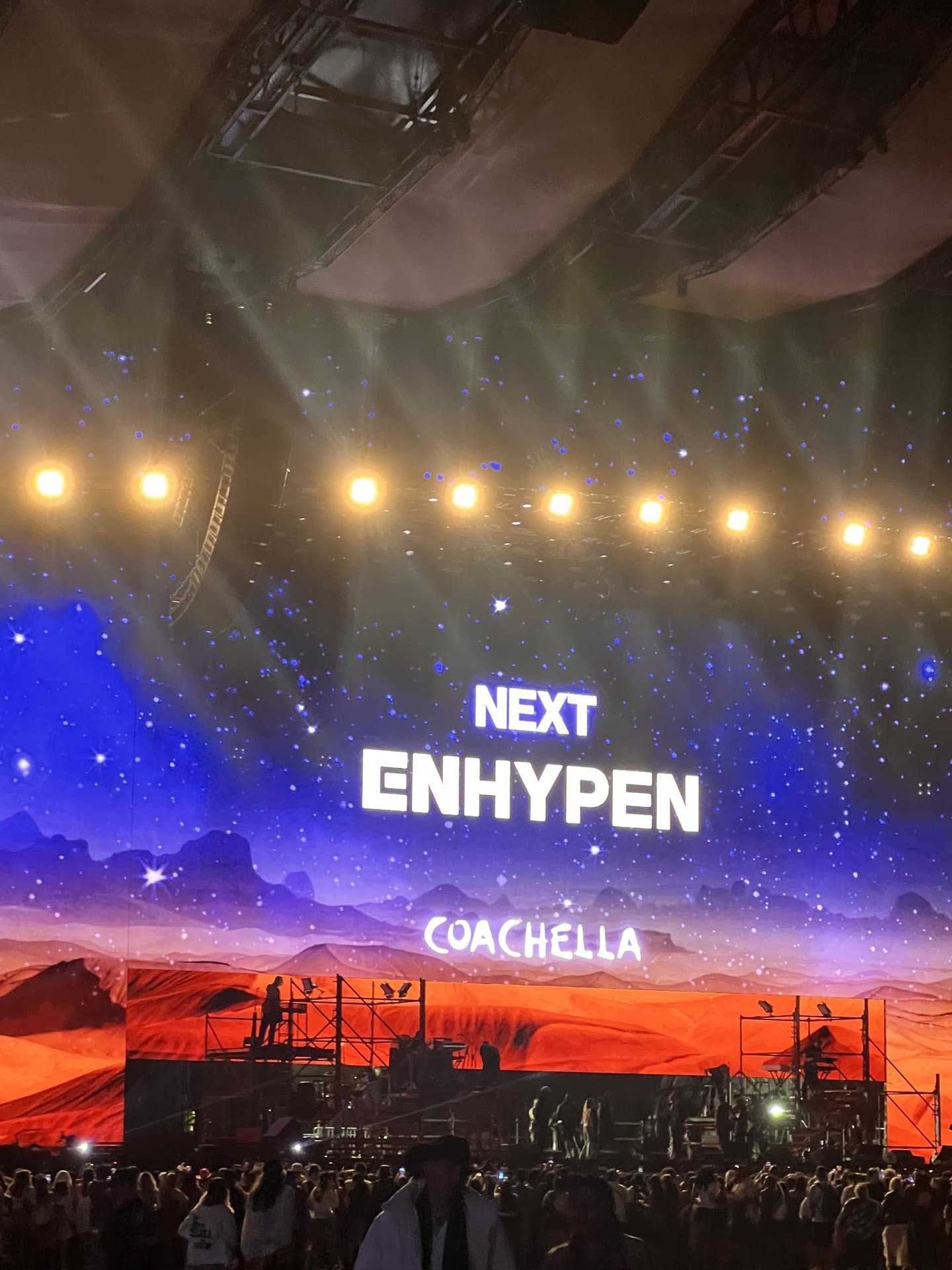 観に行きました！