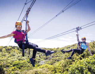 ワイヘキ島の豊かな森や海を眼下に望みつつ、全長200m超のワイヤーを滑り降りる空中アクティビティ。環境保護区の上空を通るため、ダイナミックな景観を堪能できます。