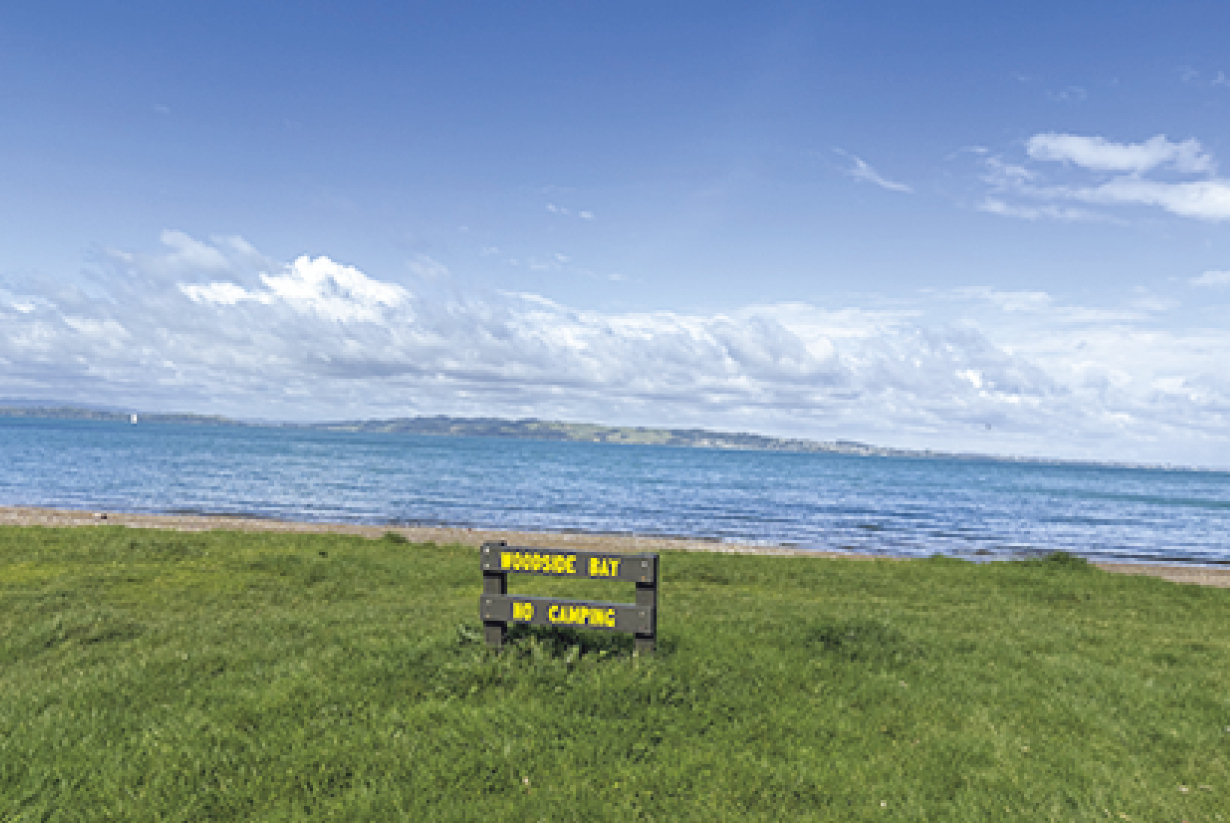 体験後はガイドと歩くネイチャーウォークがセットになっており、動植物や保全活動について学べるのも人気の理由。