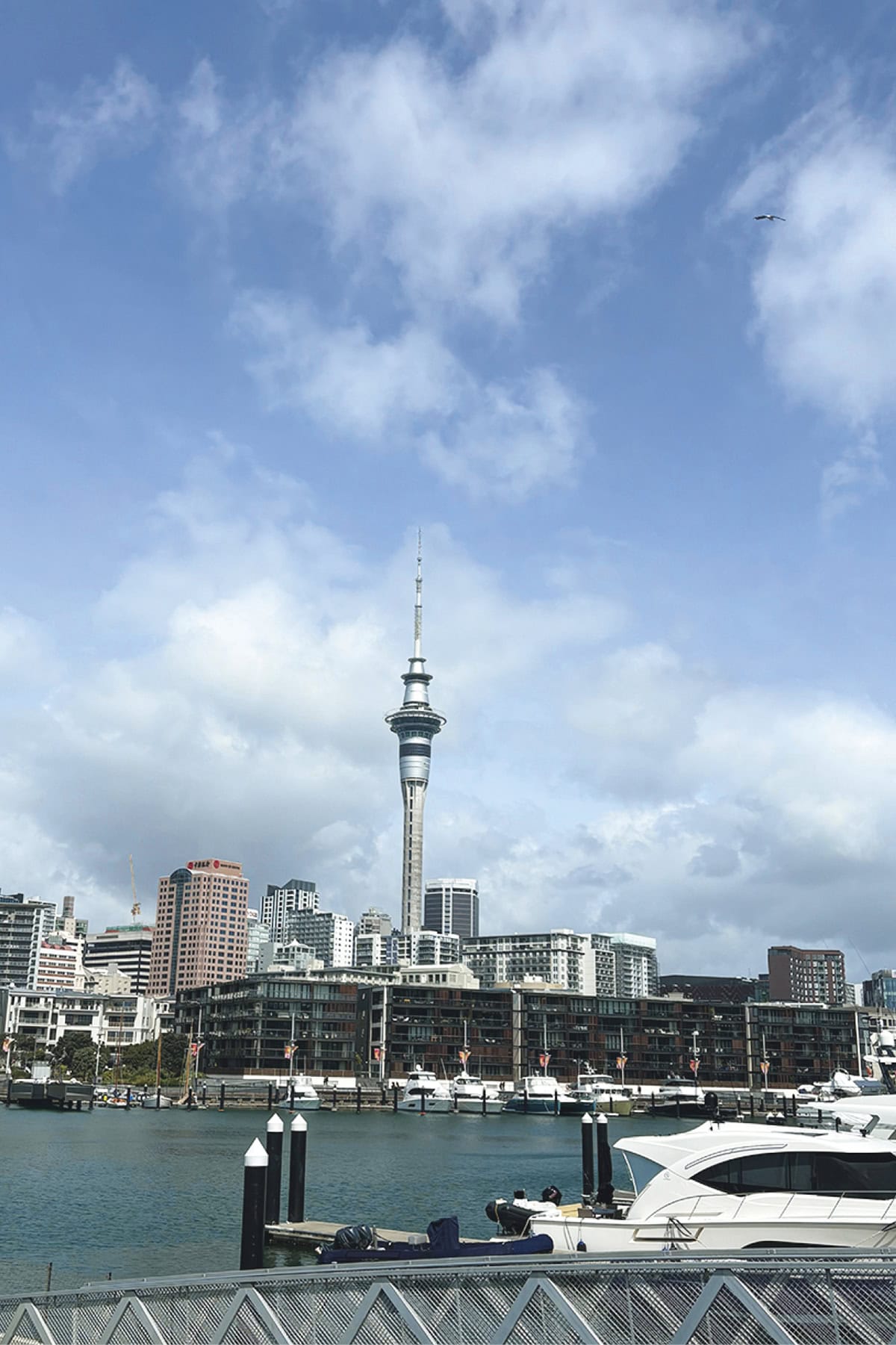 DAY 3 オークランドへ戻ってNZカルチャーを総体験