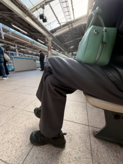 プラステのウオームリザーブスティックパンツのダークグレーです。身長165㎝で少しユルっとはきたくてLサイズを選びました。