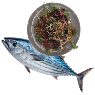 元気の秘密はカツオ!? 詳細は本誌でご確認ください。