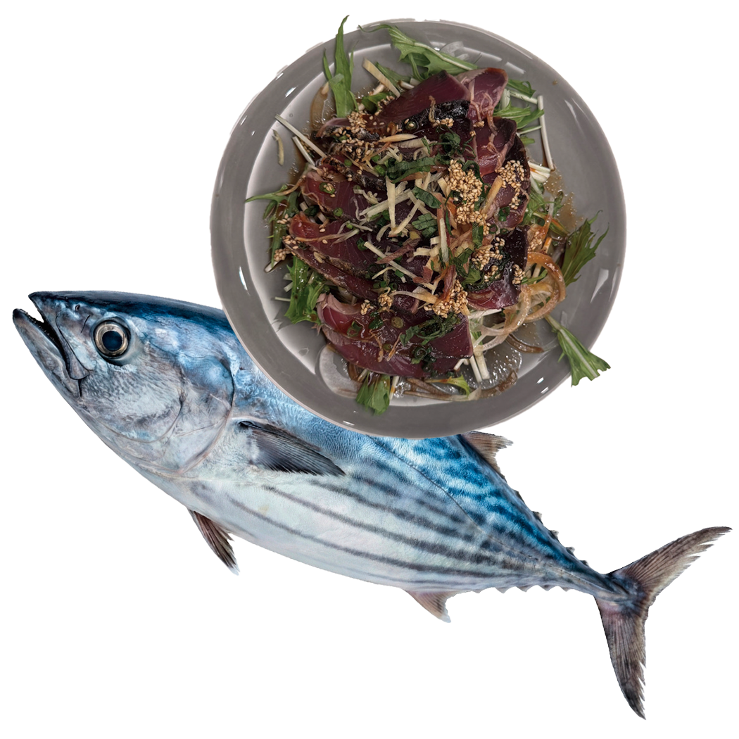 元気の秘密はカツオ!? 詳細は本誌でご確認ください。