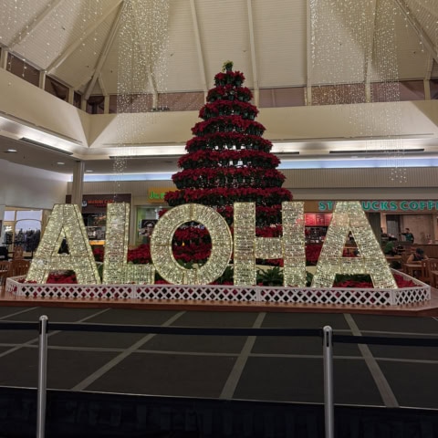 「超便利なのに日本で見つけられないの!」 吉川ひなのがハワイのマルシェ&スーパーで買ったもの