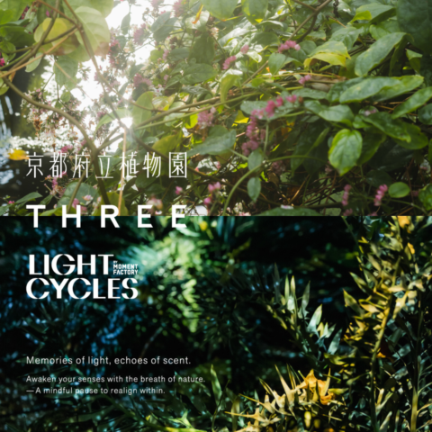 『フレグランス×アート』五感を刺激する【THREE】の期間限定イベントが京都で開催!
